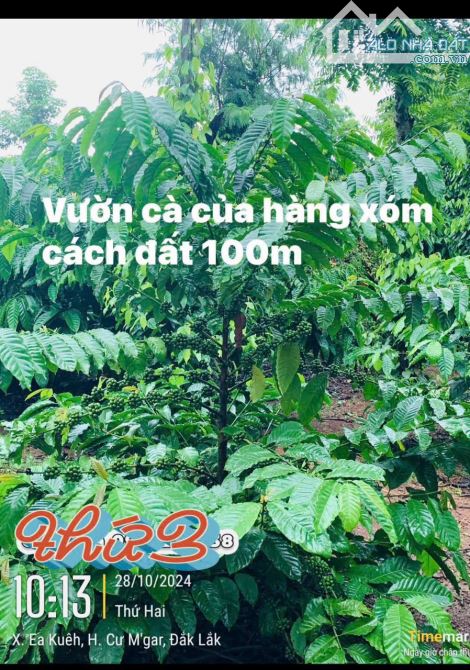 ĐẤT RẺ EA KUEH - CƯMGAR - ĐAKLAK 1.1ha - 720Triệu - 5