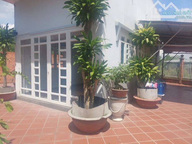 Bán nhà vườn góc 2 MT nhựa xã Nhuận Đức Củ Chi TPHCM, DT: 12x20m. - 6