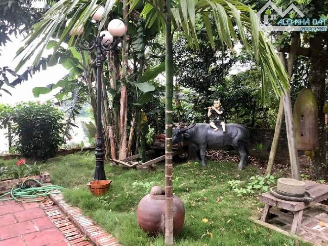 Bán biệt thự vẹn sông đuống 757m2 view sồng cực kỳ đẹp và thơ mộng , cực hiếm có một không - 6