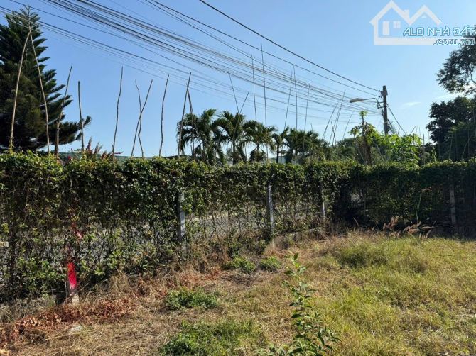 Bán đất ngang 8,8m đường ĐX17, phường Phú Mỹ cũ (nay là P. Bình Dương), TP. HCM - 6