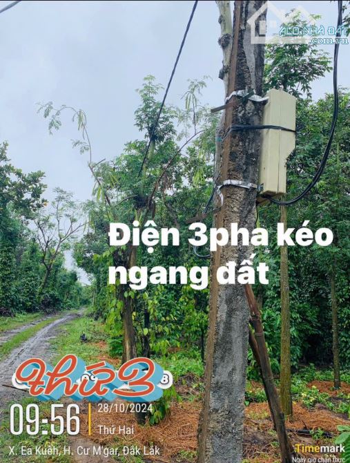 ĐẤT RẺ EA KUEH - CƯMGAR - ĐAKLAK 1.1ha - 720Triệu - 6