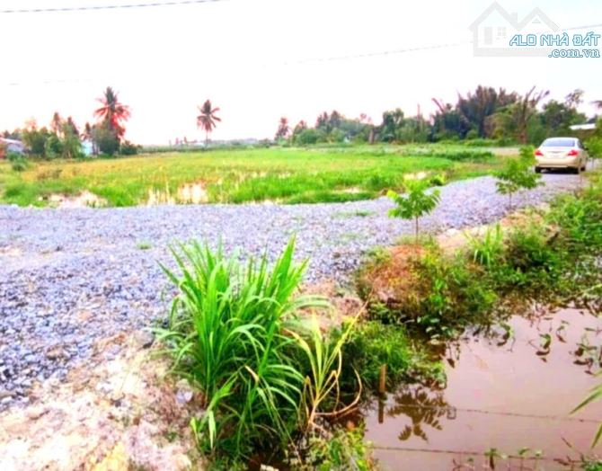 Siêu phẩm, 2060m2 đất vườn View Kênh cực đẹp, chỉ 1.3 tỷ - 7