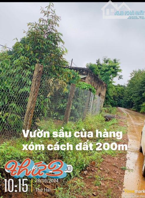 ĐẤT RẺ EA KUEH - CƯMGAR - ĐAKLAK 1.1ha - 720Triệu - 7