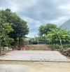 Bán đất đường 7.5m Phan Khôi, Hòa Xuân - Gần Trường Học - 100m2, Giá 4.39 tỉ tl