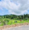 THỊ TRẤN PHƯỚC HẢI - CÁCH BIỂN 4KM - LƯNG TỰA NÚI MINH ĐẠM 🌈🌈🌈DT 1000m2  ngang 20x50m