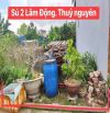 Lâm Động có lô này đẹp gần đường 203 đi vào:  👉 Vị trí tại thôn Sú 2. Lâm Động... trong k