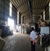 Cho thuê kho xưởng 3.000m² khuôn viên 10.000m², Đức Hòa Đông, Long An
