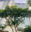 🏙 TÒA NHÀ TRIỆU ĐÔ – DÒNG TIỀN CỰC ĐỈNH – TRẦN ĐÌNH ĐÀN – GẦN VÕ NGUYÊN GIÁP, BIỂN MỸ KHÊ