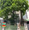BIỆT THỰ VƯỜN CẠNH PHÚ MỸ HƯNG,HỒ CÁ KOI,PHÒNG XÔNG HƠI ĐẲNG CẤP,NGANG 8x18MCHỈ NHỈNH 15🧄