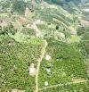 🌳 💥💥BÁN ĐẤT Ở NAM BAN 💸 💸 - LÂM HÀ - LAM ĐỒNG - 💸 CHỈ VỚI GIÁ 555 TRIỆU  💥 💥🌳