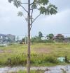 ĐẤT BÀU VÁ GIÁ 3x Tr/M2 - LH HẢI YẾN