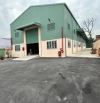 Cho thuê kho xưởng 4000m2 (xd: 3000m2) giá rẻ Đức Hòa Đông. Có PCCC tự động, trạm 630kva