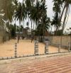 Bán 800m2 có thổ cư mặt tiền biển Hoà Bình, Hàm Tiến giá tốt