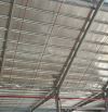 Cho thuê kho 2.800m² PCCC tự động, mới xây tại Trần Đại Nghĩa,Bình Tân