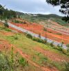 🌲✨✨BÁN ĐẤT KQH VẠN XUÂN - ĐÀ LẠT - CHỈ VỚI 3.8 TỶ 💥💥🌲