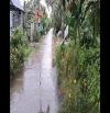 Cho thuê nhà đường Kênh Tắc, phường Vị Tân, TP Cần Thơ, cách Trường Cao đẳng Cộng đồng và