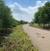 🌳 CHÍNH CHỦ GỬI BÁN – ĐẤT 8.000M² (8 SÀO) TẠI BÌNH GIÃ – BÌNH TRUNG CŨ 🌳