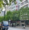 Cho thuê MBKD mặt phố Khúc Thừa Dụ, Cầu Giấy, 150m2, 7 tầng, 285tr