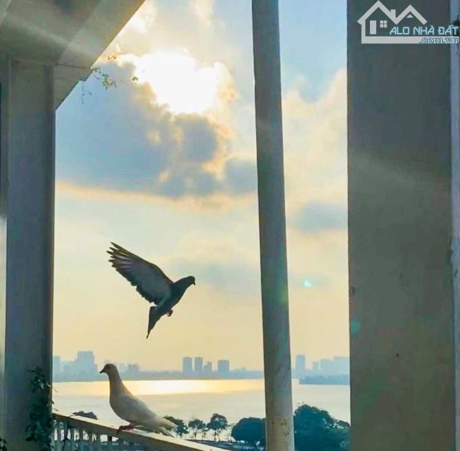 BÁN NHÀ PHỐ NGUYỄN KHẮC HIẾU, BA ĐÌNH 217M, 16 TẦNG, THANG MÁY, DÒNG TIỀN KHỦNG, 295 TỶ.