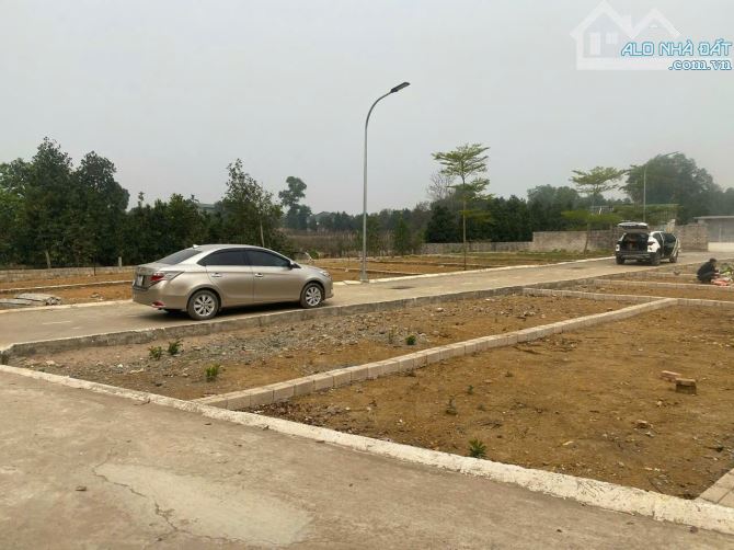 TIN SỐC GIỮA MÙA BÃO! Chủ đất hoảng hồn vì hũ gạo nứt toác, quyết định bán gấp mảnh đất