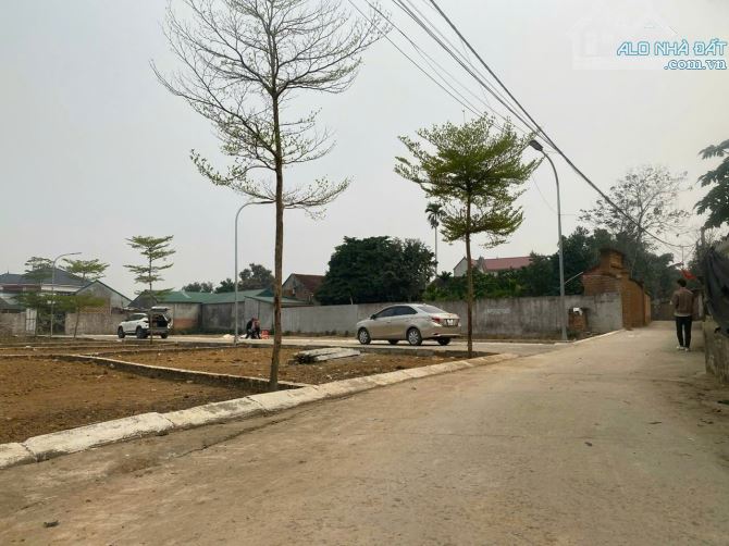 TIN SỐC GIỮA MÙA BÃO! Chủ đất hoảng hồn vì hũ gạo nứt toác, quyết định bán gấp mảnh đất