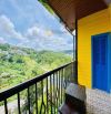Homestay view đẹp rộng 752m2 Hoàng Hoa Thám P10 Đà  Lạt chỉ 16.5 tỷ