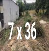 BÁN ĐẤT MT DH615, LONG NGUYÊN, BÀU BÀNG, DT: 7x36, TC100M2, SHR, GIÁ 950 TRIỆU