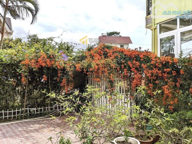 🌿 Siêu phẩm nhà vườn đẹp hiếm có giữa lòng Đà Lạt – Đường Hồ Xuân Hương, P12 - 1