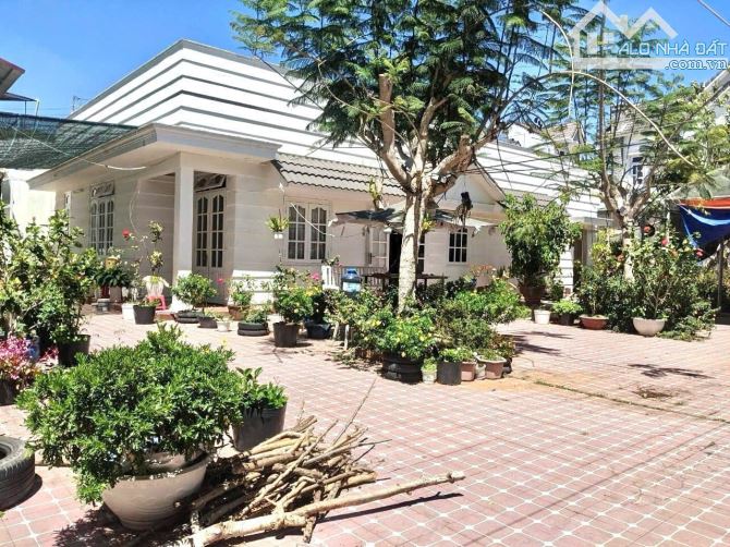 15 TỶ - 556M2 NHÀ VƯỜN - HỒ XUÂN HƯƠNG - P. LÂM VIÊN ĐÀ LẠT - 1