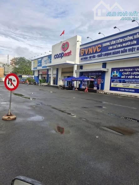 Bán nhanh 133m2 mặt tiền Phan Văn Mảng, Bến Lức – Giá 14tr/m² – SHR - 3