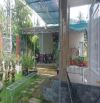 Cho thuê xưởng may sẵn tại phường Phú Khương
