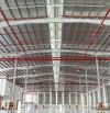XT223 Nhà Xưởng Cho Thuê Sản Xuất - Kho Lưu Trữ Tại KCN Bình Thuận Diện Tích Nhà Xưởng Đa