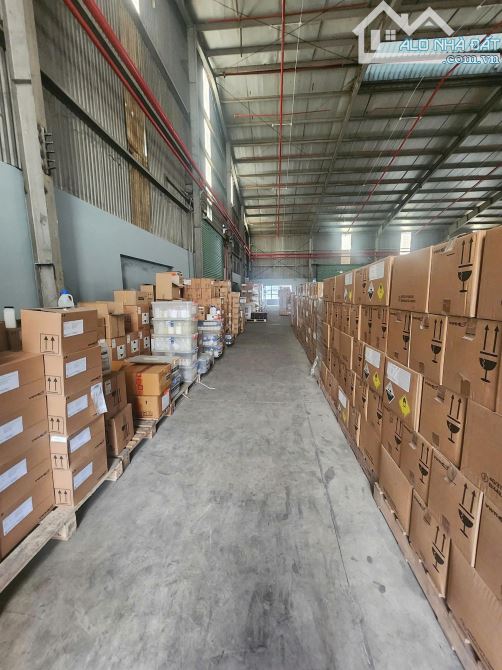 CHO THUÊ KHO CHỨA HÓA CHẤT TRONG KCN XUYÊN Á, ĐỨC HÒA GIÁP HÓC MÔN - 2