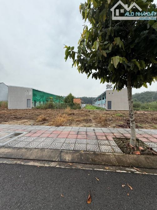 ĐẤT MẶT TIỀN PHAN VĂN MÃNG TT BẾN LỨC DT 233M2 CHỈ 1TỶ 670 TRIỆU