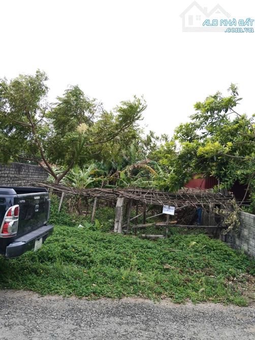 Bán 309m² đất, FULL thổ cư, vị trí đẹp, tiếm năng sinh lời cao tại Kỳ Anh,Hà Tĩnh