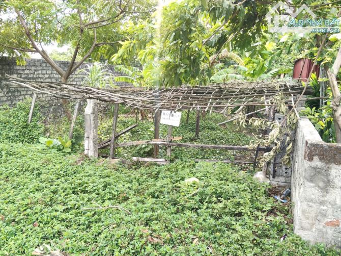 Bán 309m² đất, FULL thổ cư, vị trí đẹp, tiếm năng sinh lời cao tại Kỳ Anh,Hà Tĩnh