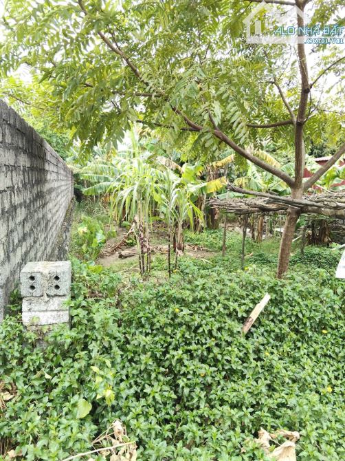 Bán 309m² đất, FULL thổ cư, vị trí đẹp, tiếm năng sinh lời cao tại Kỳ Anh,Hà Tĩnh