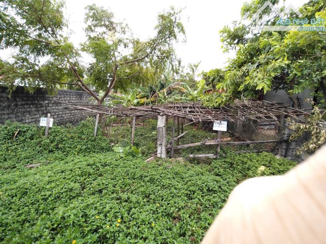 Bán 309m² đất, FULL thổ cư, vị trí đẹp, tiếm năng sinh lời cao tại Kỳ Anh,Hà Tĩnh