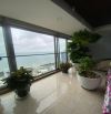 Bán Penhouse  Vũng Tàu Goldsea 3PN view trực diện biển nội thất hiện đại 170m2