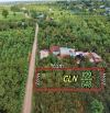 ✨ 10x65M Vị Trí Cực Đẹp ngay KDC tiệm cận tất cả tiện ích: TTHC, Bank, Siêu thị... - 370TR