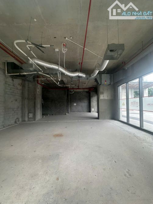 Cho thuê shophouse The Horizon Phú Mỹ Hưng, Quận 7, DT 239m2