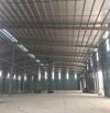 Cho thuê kho xưởng cạnh QL1A Thường Tín 5000m2.