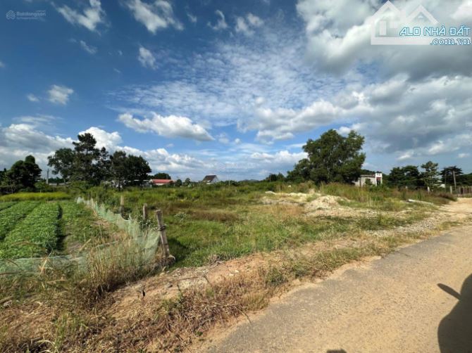 Chính chủ Cần bán đất Tân Sơn, Châu Pha, TX Phú Mỹ Bà Rịa Vũng Tàu - 1