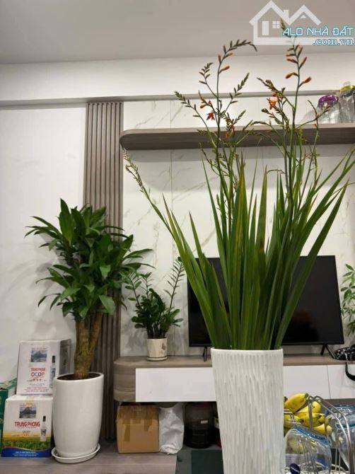 BÁN TẬP THỂ TẦNG 2, CĂN GÓC – BỘ GDĐT, ĐƯỜNG LÁNG, ĐỐNG ĐA. 65M² – 2PN. 4,35 TỶ