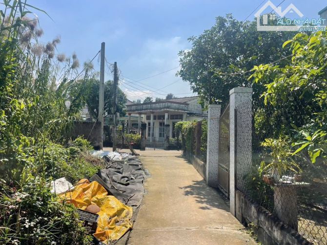 2350m2 Khu phố 7 thị trấn Bến Lức Long An đường thông nhiều hướng - 2