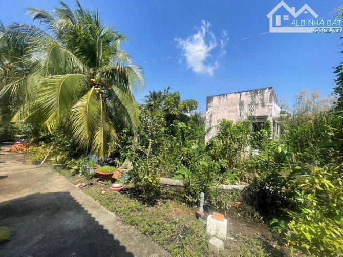 2350m2 Khu phố 7 thị trấn Bến Lức Long An đường thông nhiều hướng - 3