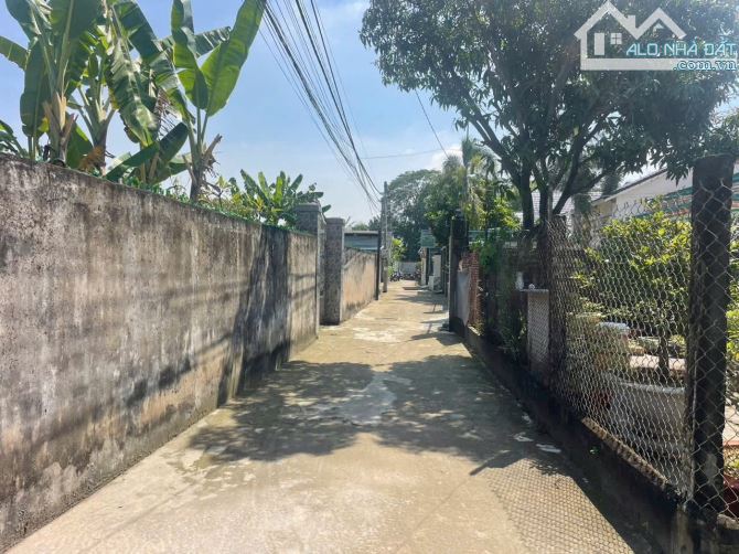 2350m2 Khu phố 7 thị trấn Bến Lức Long An đường thông nhiều hướng - 4