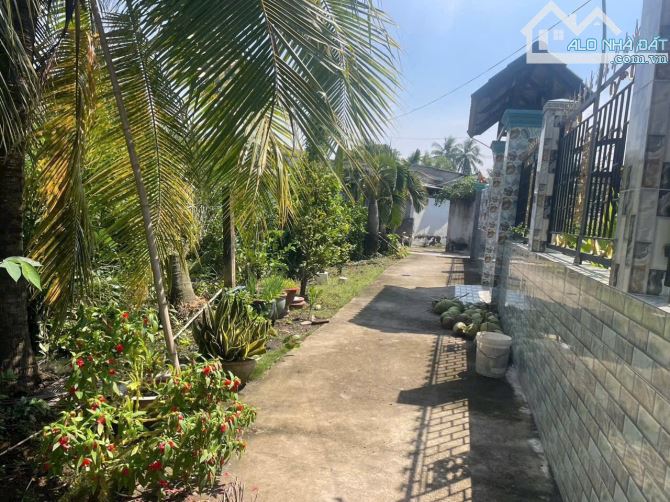 2350m2 Khu phố 7 thị trấn Bến Lức Long An đường thông nhiều hướng - 6