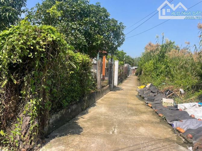 2350m2 Khu phố 7 thị trấn Bến Lức Long An đường thông nhiều hướng - 7