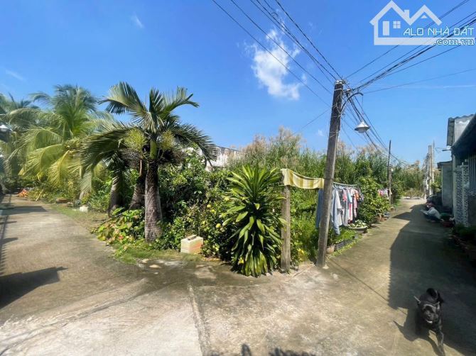 2350m2 Khu phố 7 thị trấn Bến Lức Long An đường thông nhiều hướng - 8